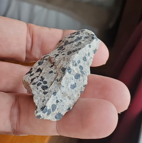 #6 Dalmatian Jasper Gemstone - Picture 2 of 6